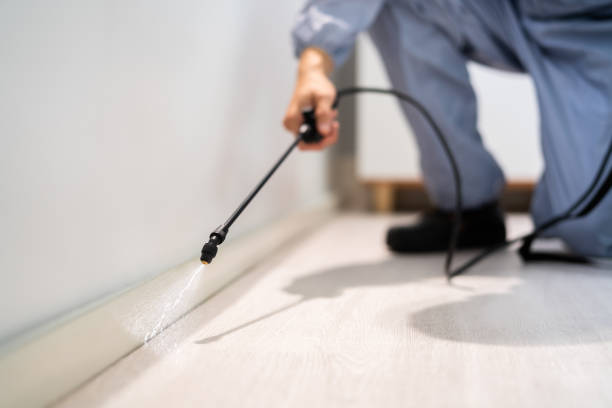 Licensed Termite Control service in Belmont, CA - Nex Pest Control