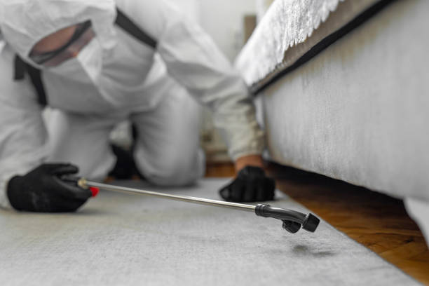 Professional Termite Control technician working in Belmont, CA