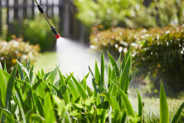 24/7 Emergency Termite Control experts in Belmont, CA