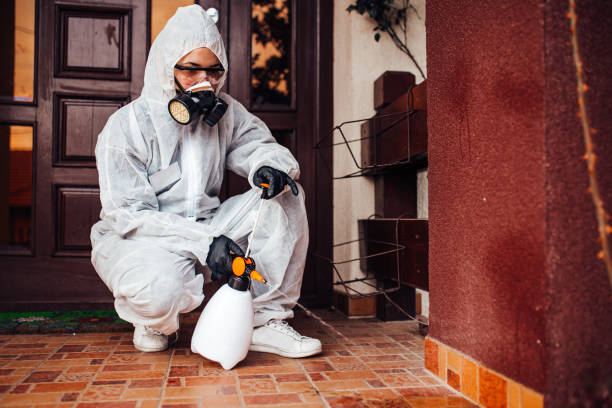 Reliable Termite Control contractor in Belmont, CA by Nex Pest Control